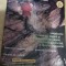 myh 12 - Muntii Carpati - nr 21/2000 - piesa de colectie