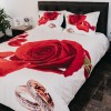 Lenjerie de pat ranforce Clasy king size (RNF_12)
