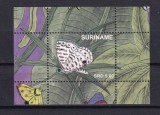 SURINAM 2020 FAUNA INSECTE FLUTURI