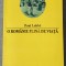 Paul Labbe - O Rom&acirc;nie plină de viață