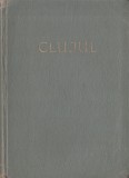 Stefan Pascu, Iosif Pataki, Vasile Popa - Clujul (2 carti)