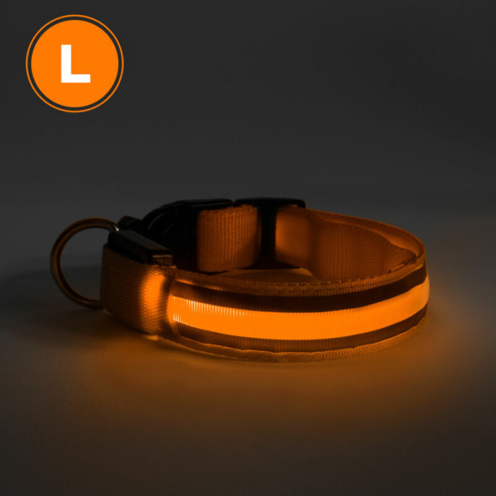 Zgardă LED - baterie - mărimea L - portocaliu