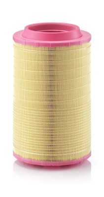 MANN-FILTER C 25 860/6 Filtru aer foto