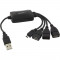 Hub USB 2.0 cu 4 porturi, 1 port microUSB, Esperanza