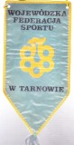 AMS - FANION WOJEWODZKA FEDERACJA SPORTU W TARNOWIE