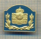 Y 576 INSIGNA-SVERIGES UNGDOM-DESS -FRAMTIO-SUFLETUL SUEDIEI-PENTRU COLECTIONARI