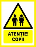 Placuta atentie copii