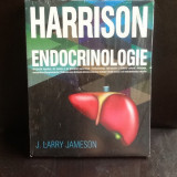 Endocrinologie - J. Larry Jameson