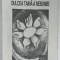 DULCEA TAINA A NEBUNIEI de ADRIAN - CHRISTIAN KUCIUK , 1998