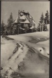CPIB 22576 - CARTE POSTAL - VEDERE DIN PREDEAL