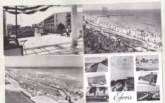 bnk cp Dobrogea - Litoral - Jud Constanta - lot 15 cp circulate/uzate