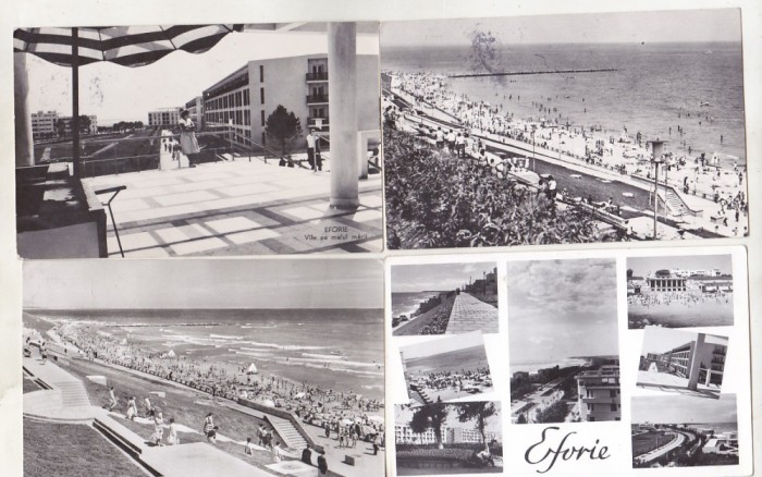bnk cp Dobrogea - Litoral - Jud Constanta - lot 15 cp circulate/uzate