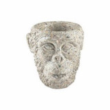 Cumpara ieftin Ghiveci - Gorilla - Gri, 22 X 22 cm | Villa Collection