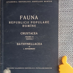 Fauna Republicii Populare Romane Crustacea vol IV fascicula 5 Bathynellacea