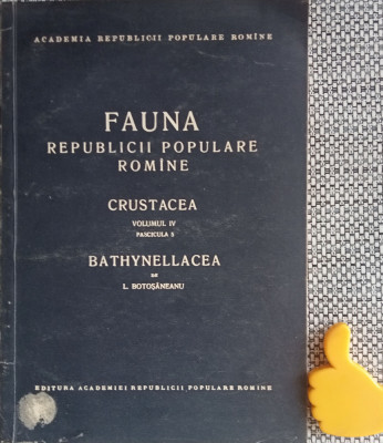 Fauna Republicii Populare Romane Crustacea vol IV fascicula 5 Bathynellacea foto