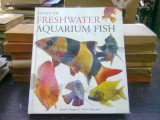 Focus on freshwater aquarium fish - Geoff Rogers (Concentrați-vă pe peștii acvatici din apă dulce)
