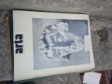 Arta nr.2/1983 Revista a Uniunii Artistilor Plastici din Republica Socialista Romania Vasile Dragut (red. sef)