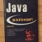 Java de la 0 la expert de Stefan Tanasa