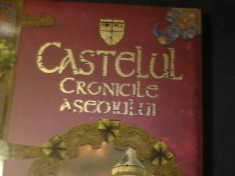 CASTELUL- CRONICILE ASEDIULUI-D.FAMMER-ILUSTRATII MARK BERGIN-TRAD. D. SOMESAN foto