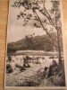 QW24 C - Carte postala - tematica turism - vedere - Calimanesti 2, Circulata, Fotografie