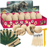 Set Excavare 12 Oua cu Dinozauri , Ustensile si Carduri Educationale, +7 Ani