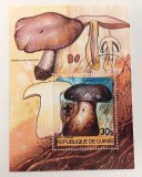 Ciuperci - Guineea - Coliță Phlebopus silvaticus CP1_I