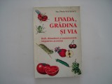 Livada, gradina si via - Florin Mateescu, 1996, Alta editura