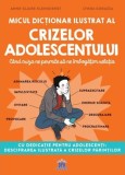 Cumpara ieftin Micul Dictionar Ilustrat Al Crizelor Adolescentului, Anne-Claire Kleindienst - Editura DPH