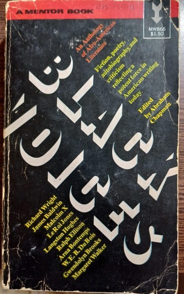 Black voices: An anthology of afro-american literature