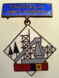 I.629 INSIGNA COMUNISTA ROMANIA FRUNTAS IN MUNCA PATRIOTICA