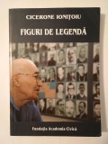 Cicerone Ionițoiu - Figuri de Legendă, Fundația Academia Civică, Istorie, 2013