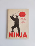 Ninja-Arta secreta de lupta - STEPHEN K. Hayes