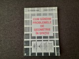 CUM GANDIM PROBLEMELE DE GEOMETRIE IN SPATIU IVANCA OLIVOTTO