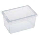 Cutie Depozitare Plastic, Model Transparent, Capacitate 2L, Dimensiuni 20x15.7x10 cm, Oem