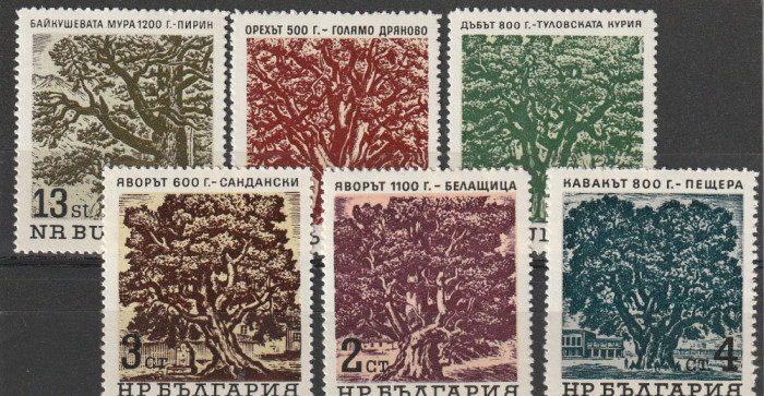 Flora ,copaci seculari,Bulgaria .