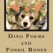 Dino Poems and Fossil Bones