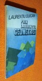 Prin labirintul geometriei - Laurentiu Duican