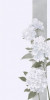 Husa Personalizata HTC U11 White Flowers