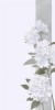 Husa Personalizata ALLVIEW V1 Viper I White Flowers