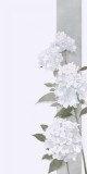 Husa Personalizata SAMSUNG Galaxy A41 White Flowers