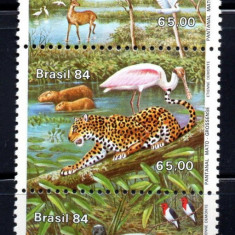 BRAZILIA 1984, Fauna, MNH, serie neuzata