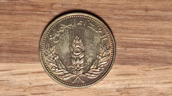 Siria (Syria) - moneda de colectie - 5 qirsh 1971 aUNC - FAO - an unic de batere