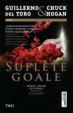 Suflete goale - Guillermo del Toro, Chuck Hogan - Roman