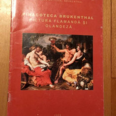 Brosura Pinacoteca Brukenthal, Pictura Flamanda si Olandeza, 2004, Muzeul Nat.