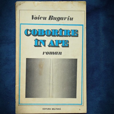 COBORARE IN APE - VOICU BUGARIU - ROMAN foto