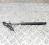 Amortizor capota dreapta față TESLA MODEL 3 2018 OEM: 1091472-00-B 15380388