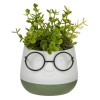 Ghiveci Decorativ Plastic, Model Față Z&acirc;mbitoare, Culoare Ecru și Verde, Dimensiuni 9.5x9.5x14cm, Plantă Artificială, Oem