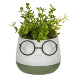 Ghiveci Decorativ Plastic, Model Față Z&acirc;mbitoare, Culoare Ecru și Verde, Dimensiuni 9.5x9.5x14cm, Plantă Artificială, Oem