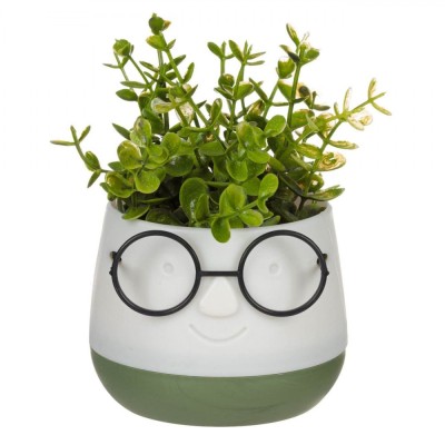 Ghiveci Decorativ Plastic, Model Față Z&amp;acirc;mbitoare, Culoare Ecru și Verde, Dimensiuni 9.5x9.5x14cm, Plantă Artificială foto