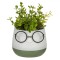 Ghiveci Decorativ Plastic, Model Față Z&acirc;mbitoare, Culoare Ecru și Verde, Dimensiuni 9.5x9.5x14cm, Plantă Artificială